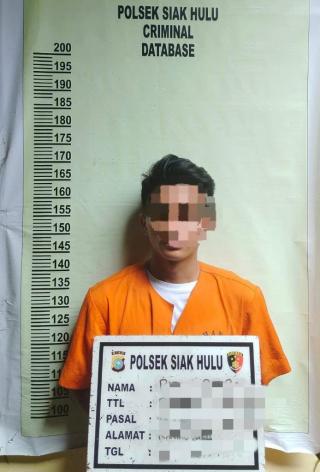 Pemilik Daun Ganja Kering Diringkus Polsek Siak Hulu